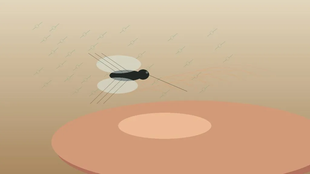 Moustique attiré par la chaleur, le CO2 et les odeurs de la peau