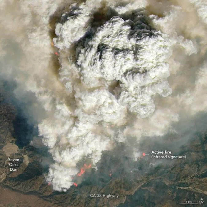 Panache de fumée de feu de forêt en 2024