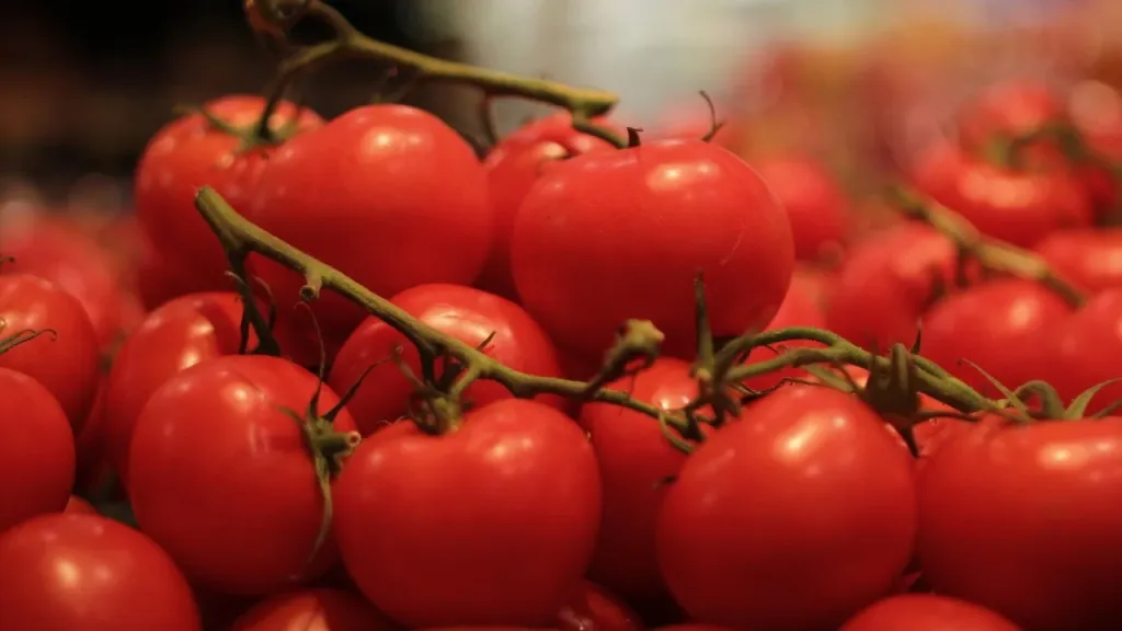 Tomates en grappe sur un étal, photographie éditoriale