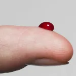 Prise de sang illustrant l'estimation de l'âge biologique des organes