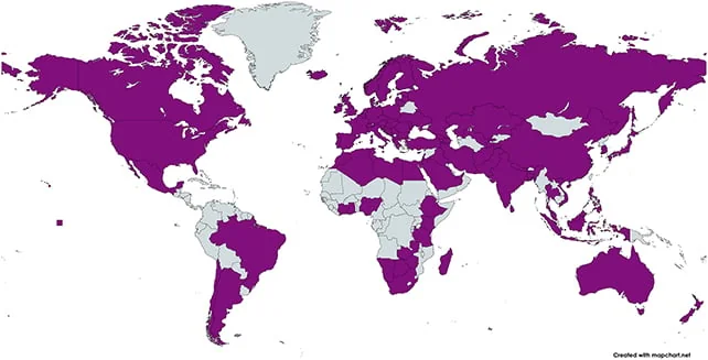 Carte des chats